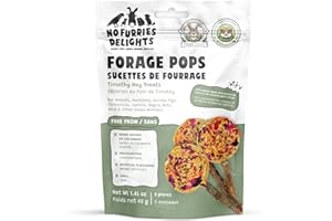 No Furries Delights Forage Pops: 5-Pack of 100% Natural, High Fiber Enrichment Treats for Rabbits, Hamsters, Guinea Pigs, Chi