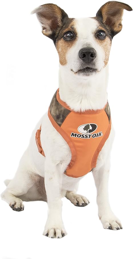 mossy oak dog clothes