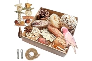 Tyotrbs 2 in 1 Parrot Toys, Parakeet Foraging Box DIY Hanging String with Comes with 2 Hooks Bird Toy for Parakeets,Cockatiels,Conures,Love Birds Cage Accessories for Small to Medium Birds