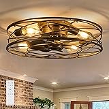 Flush Mount Caged Ceiling Fan: 20" Caged Ceiling