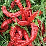 Burpee Jimmy Nardello's Sweet Pepper Seeds 30 seeds
