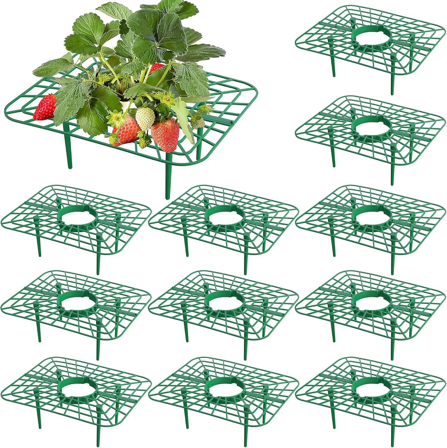 GIONAR 12 Packs Square Strawberry Supports - Strawberry Growing Racks - Plant Support Stand Holder Growing Frame Keep Berries Clean — image 1