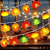 Bolvinaso [Timer] Fall Lights 10Ft 3D Acorn Pumpkin Maple Leaf String Lights, LED Orange Thanksgiving Lights Fall Decorations for Home Indoor Thanksgiving Fall Table Decor