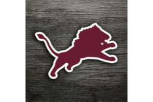 Brownwood Lions Football Replay