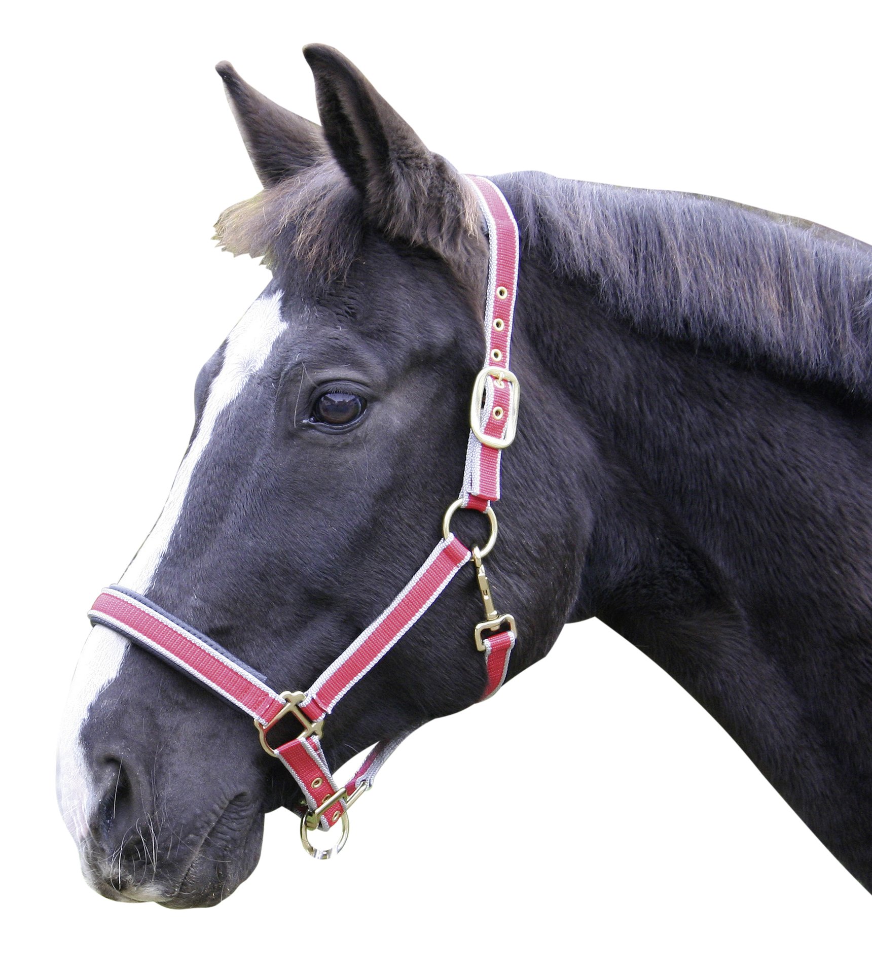 Kerbl Exclusive Head Collar - Red, Size 2 — image 1