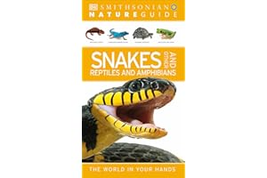Nature Guide: Snakes and Other Reptiles and Amphibians: The World in Your Hands