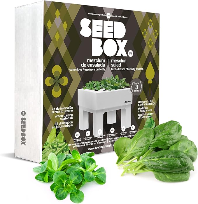 SeedBox SBCOME - Huerto Urbano de canónigos y Espinacas (Colección ...