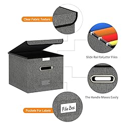 Forlogic File Organizer Box with Lid, Collapsible