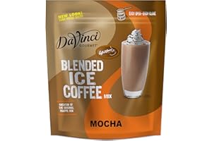 DaVinci Gourmet Mocha Blended Iced Coffee Mix, 3 Pound (Pack of 1)