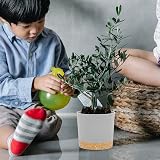 QCQHDU Plant Pot 12.7cm 2 Pack with Drainage Holes & Saucer Light Grey view 6