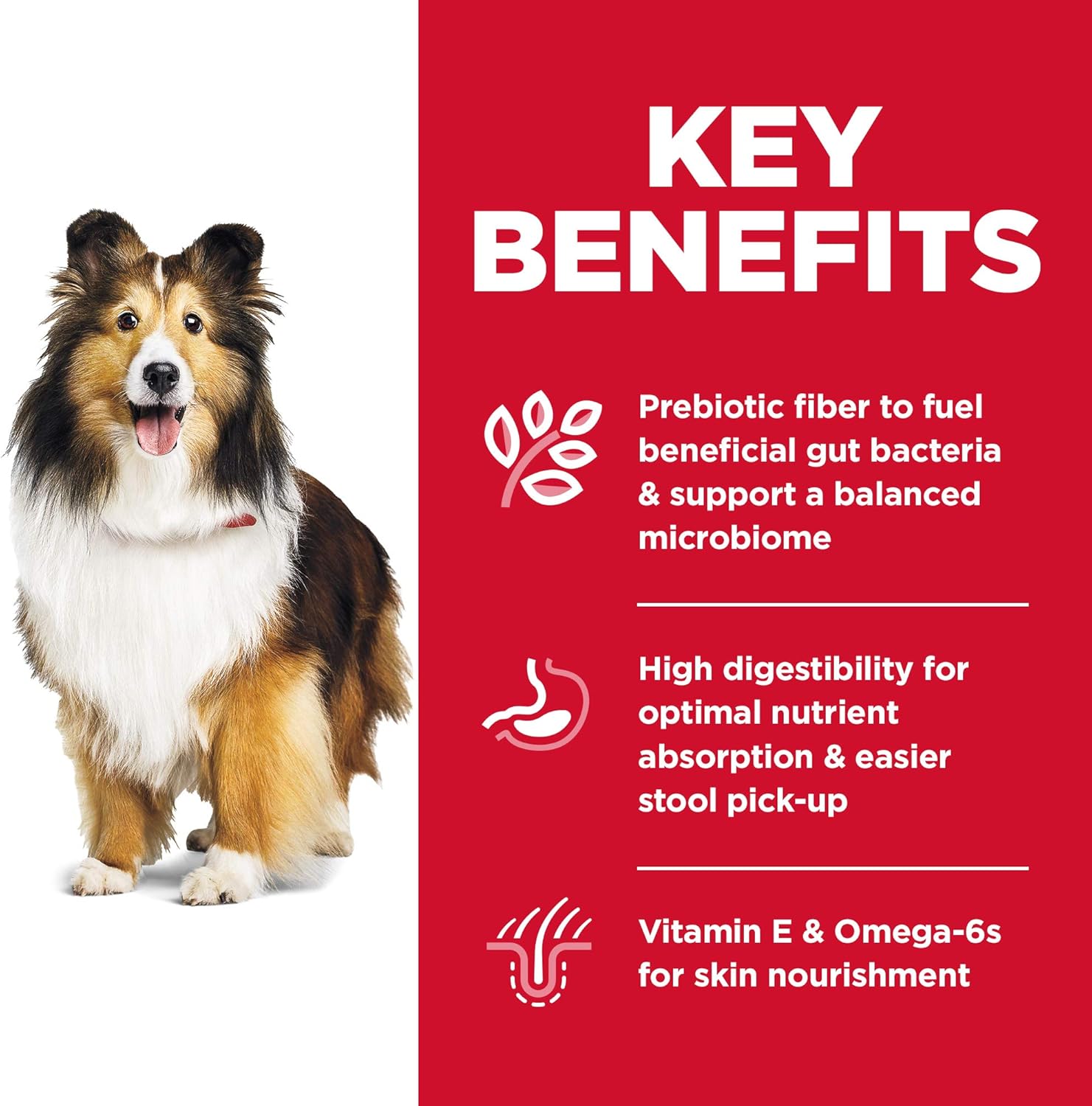 hill's science diet sensitive stomach dog