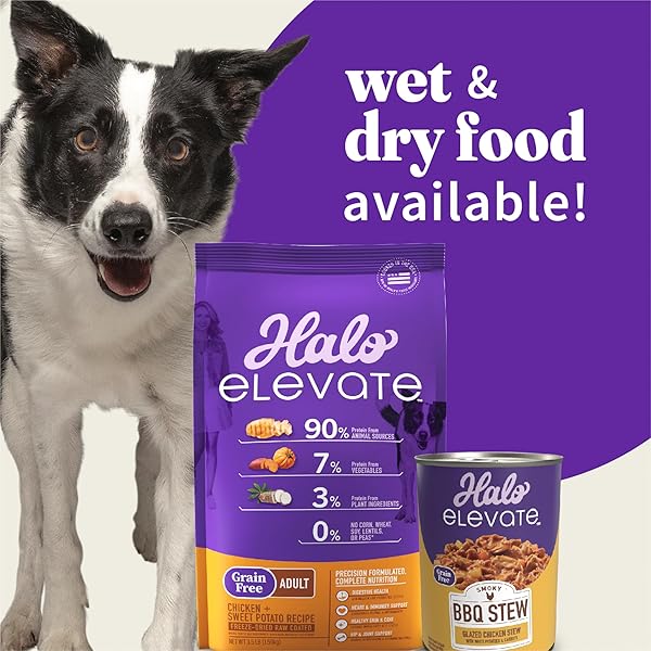 HALO ELEVATE WET DOG FOOD HOMESTYLE BONE-IN CHICKEN STEW WITH PUMPKIN & POTATOES RECIPE, GRAIN FREE CANNED DOG FOOD, 12.7 OZ CAN (PACK OF 6)