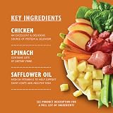 Lily's Kitchen Natural Adult Dog Food Wet Trays 6 x 150g Grain Free Chicken view 2