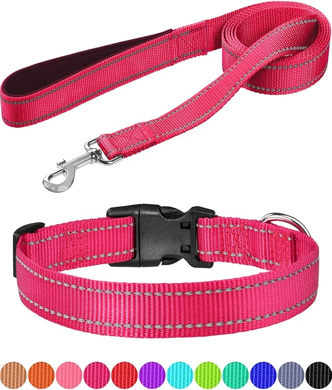 Matching Harness Collar And Leash Set at Elaine Smith blog