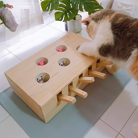 whack a mole cat toy diy