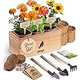 Sunflower, Marigold & Zinnia Flower Seeds Growing Kit – Complete Indoor & Outdoor Kit with Seeds for Planting, Planters, Soil
