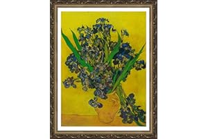 Dimensean Stamped Cross Stitch Kits Full Range of Embroidery Patterns Starter Kits for Beginners Adult or Kids DIY Cross Stitches Needlepoint Kits 11CT-Van Gogh iris vase 15.7x20.9 inch