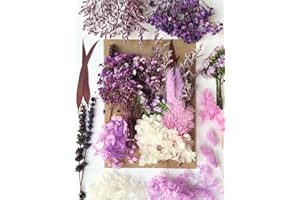 AHTONG Real Dried Pressed Flowers Plant Herbarium with Tweezers for Resin Molds Craft Jewelry Making (Purple)