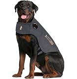 Rescue Dogs Stay Back Hundeweste – Warnweste Mit Aufdruck, Für ängstliche Hunde, Größen M & L, Wasserabweisend