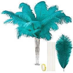 VIJIV Natural Black Large Ostrich Feathers Bulk 10