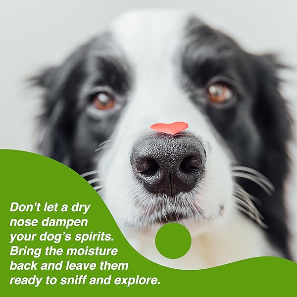 PURE AND NATURAL PET USDA CERTIFIED ORGANIC NOSE RESCUE (UNSCENTED) 1.75OZ