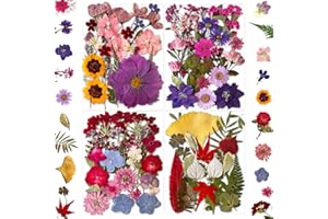 MIKIYA 85Pcs Dried Pressed Flowers for Resin Molds, Real Natural Bulk Dry Floral Leave for DIY Art Crafts, Epoxy Jewelry, Candle, Soap Making, Nails Decors Gifts