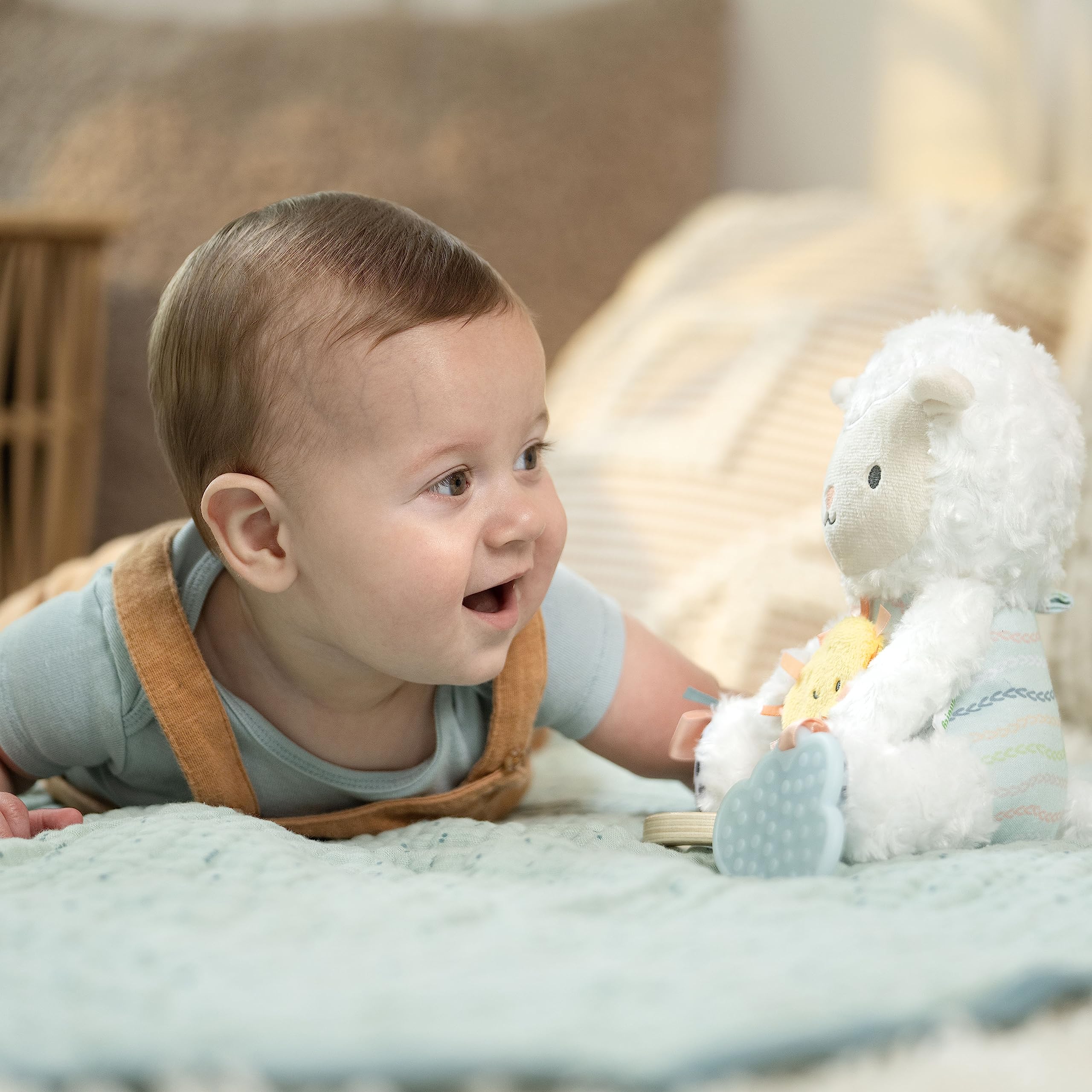 Ingenuity Calm Springs Plush Activity Pal BPA-Free Cloud Teether, Multi-Texture Fabrics, Sheppy