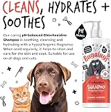 BUGALUGS Dog Shampoo Itchy Skin Antibacterial Antifungal Safe Formula view 4