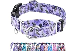 Fidohug Reflective Martingale Collar for Dogs with Quick Release Buckle Cute Girl Female Flower Dog Collars (Lavender Floral, Large)