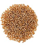 Mader Family Farmed Red Winter Wheat