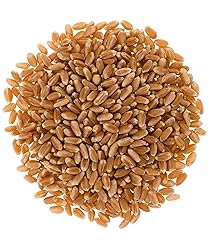 Mader Family Farmed Red Winter Wheat