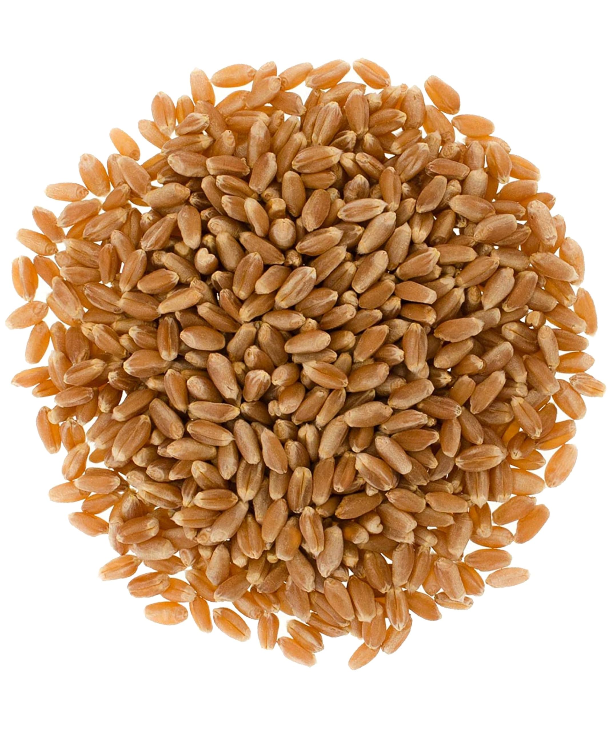 Mader Family Farmed Red Winter Wheat