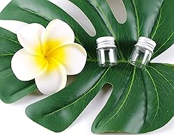 MaxMau Mini Glass Bottles with Screw Caps 5ml 24