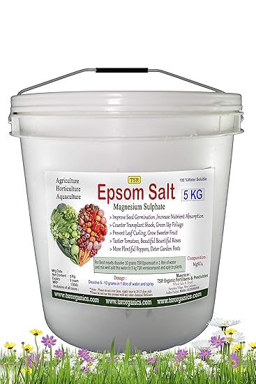 TSR Organic Fertilisers & Pesticides Epsom Salt 5 KG Bucket Magnesium Sulphate Fertilizer for Indoor and Outdoor Garden Plants