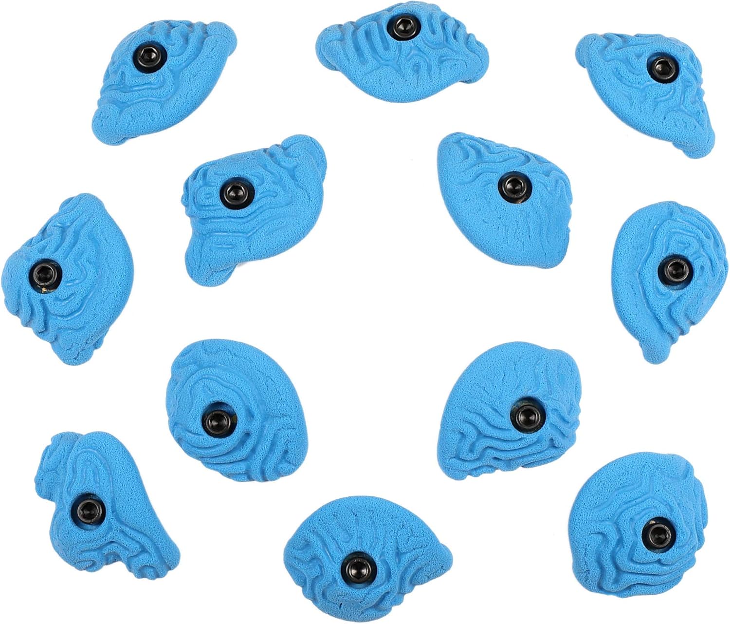Atomik Rock Climbing Holds Set of 12 Bolt-On Steep Wall Brain Coral Crimps in Blue : Sports & Outdoors
