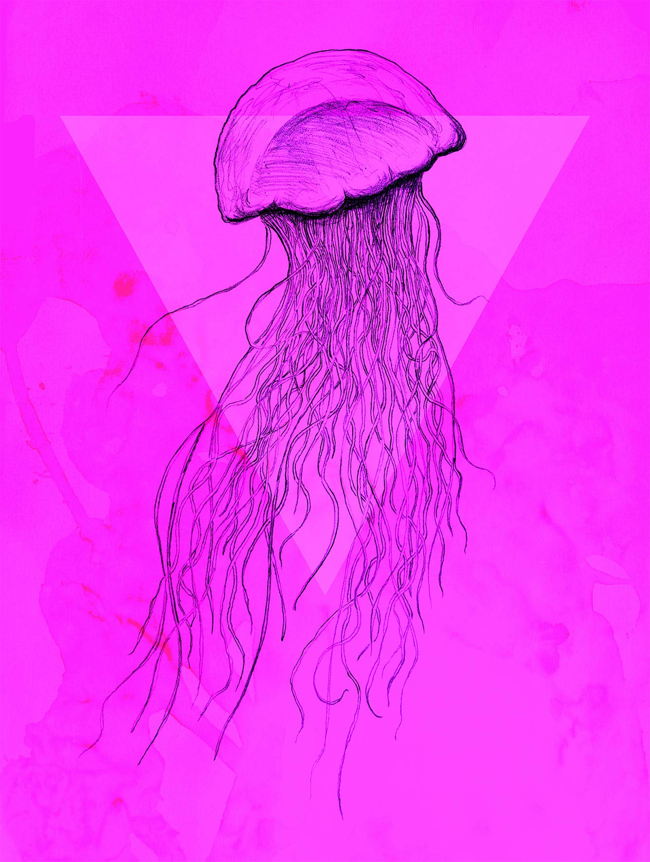 Komar Wall Picture | Jellyfish Pink | Poster Picture Living Room Bedroom Decoration Art Print | Without Frame | P078C-30 x 40 cm | Size: 30 x 40 cm (Width x Height)