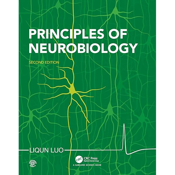 Principles of Neurobiology: Luo, Liqun, Luo, Liqun: 9780367514716