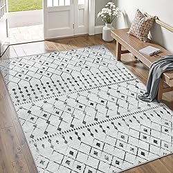 SERISSA Washable Area Rug,3x5 Soft Non Slip Indoor