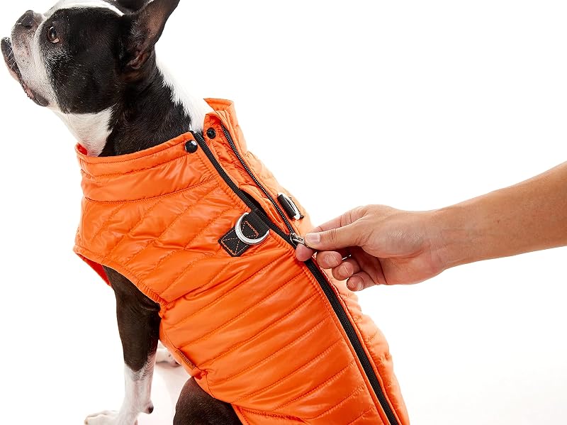 Puffer Weste Hundejacke – Türkis, Groß – Ultra Dünn Reißverschluss Windbreaker mit Dual D Ring Leine – Wasserabweisend Kleiner Hund Pullover Mantel – Hundekleidung für Kleine Hunde Junge oder