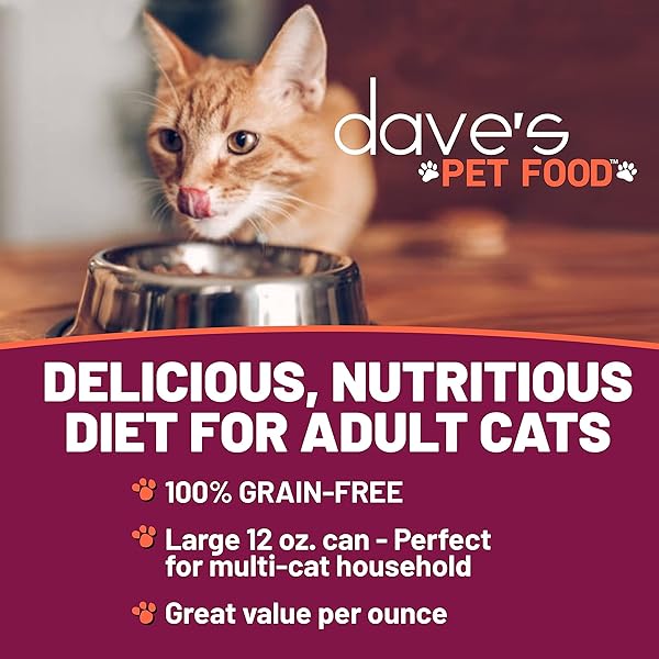 DAVE’S PET FOOD GRAIN FREE WET CANNED CAT FOOD (TURKEY), MADE IN USA NATURALLY HEALTHY, ADDED VITAMINS & MINERALS, GLUTEN-FREE, 12.5 OZ CANS