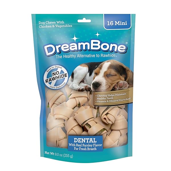 DREAMBONE DENTAL DOG CHEWS, RAWHIDE FREE DENTAL TREATS FOR DOGS, HELPS REDUCE TARTAR AND FRESHENS BREATH, 16 COUNT