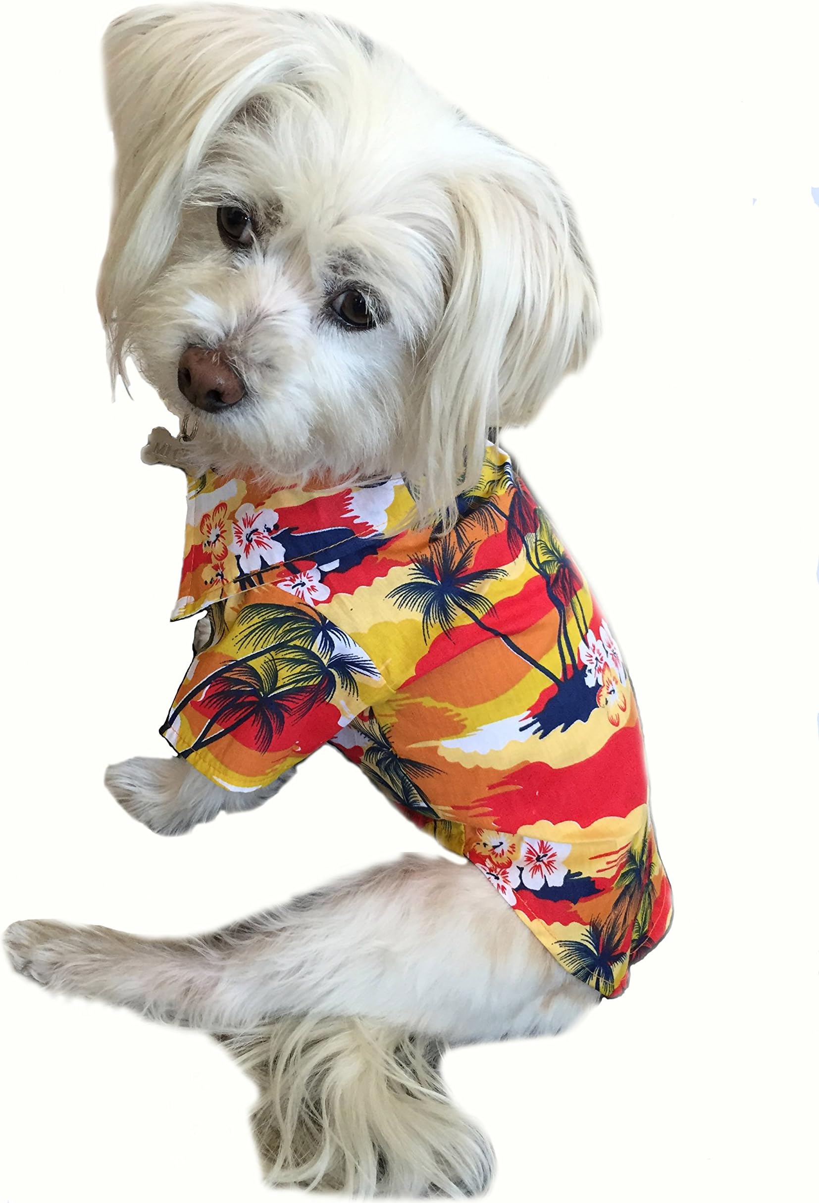Micha Doggy Wear 100% Cotton Tropical Hawaiian/Aloha Dog Shirt for Small and Medium Dogs *Size Runs Small-Please Measure*