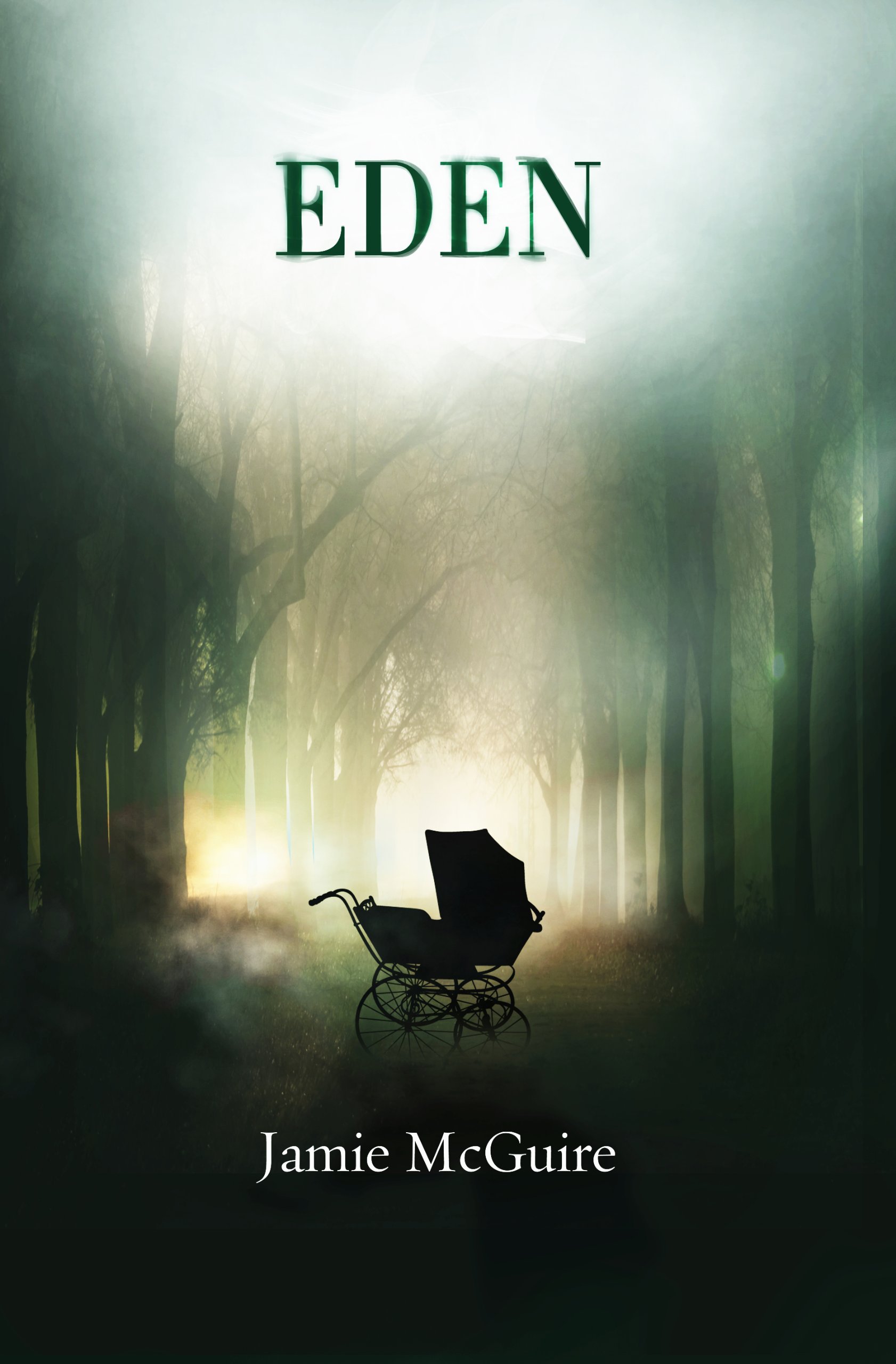 Eden The Providence Series Book 3 Kindle Edition By Mcguire Jamie Paranormal Romance Kindle Ebooks Amazon Com