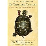 Of Time and Turtles: Mending the World, Shell by Shattered Shell