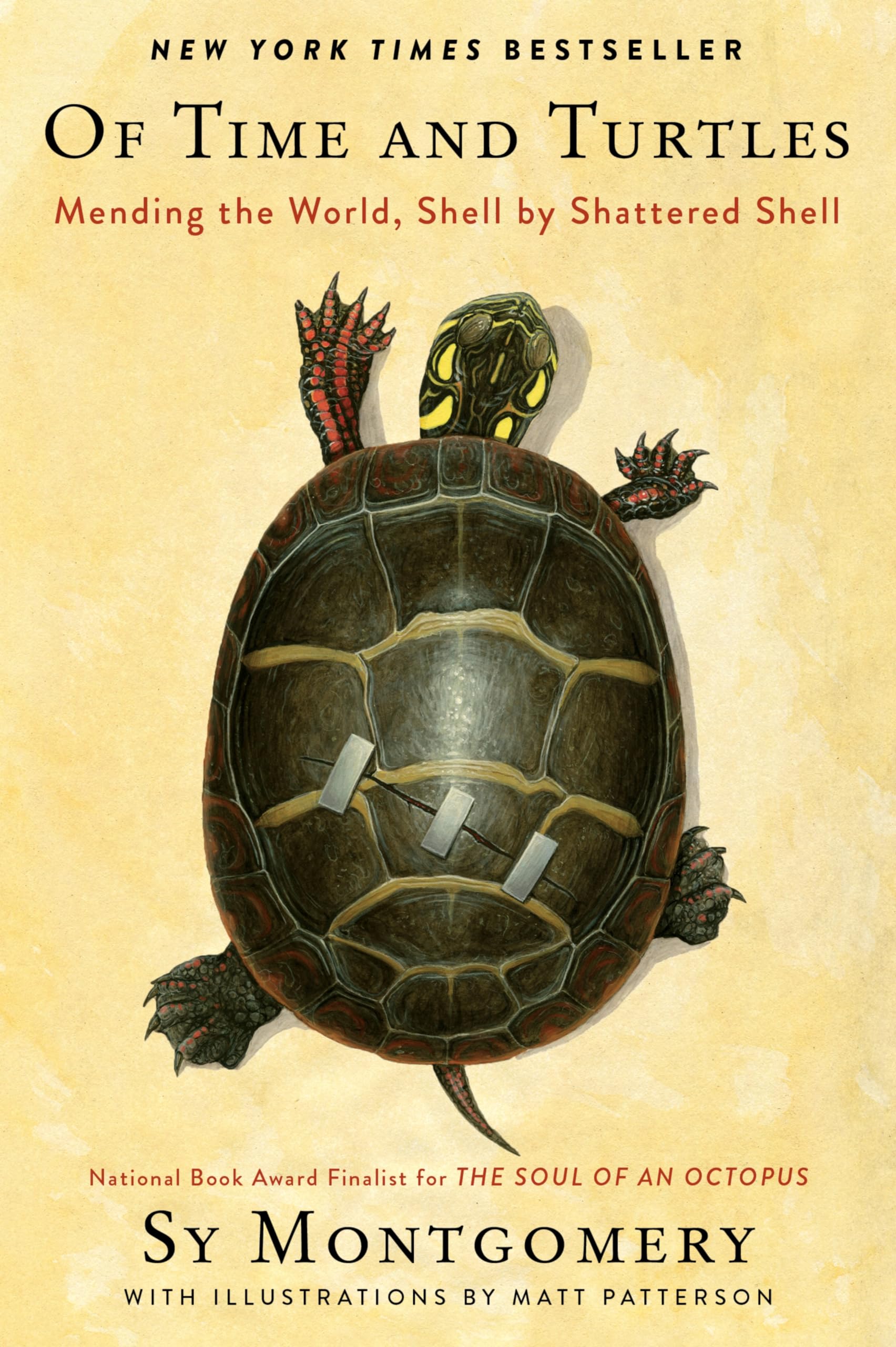Of Time and Turtles: Mending the World, Shell by Shattered Shell―A Heartwarming Compassionate Portrait of Injured Turtles, Perfect for Nature Lovers.