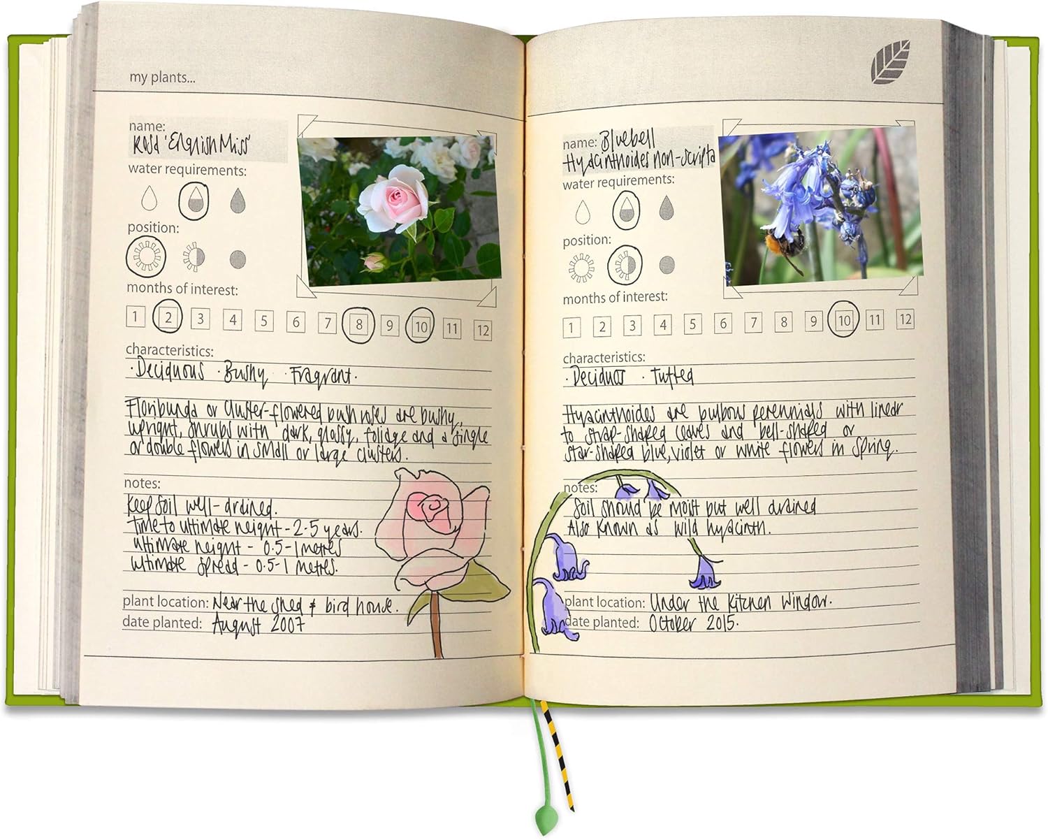 Suck UK, My Gardening - Green - Image 4