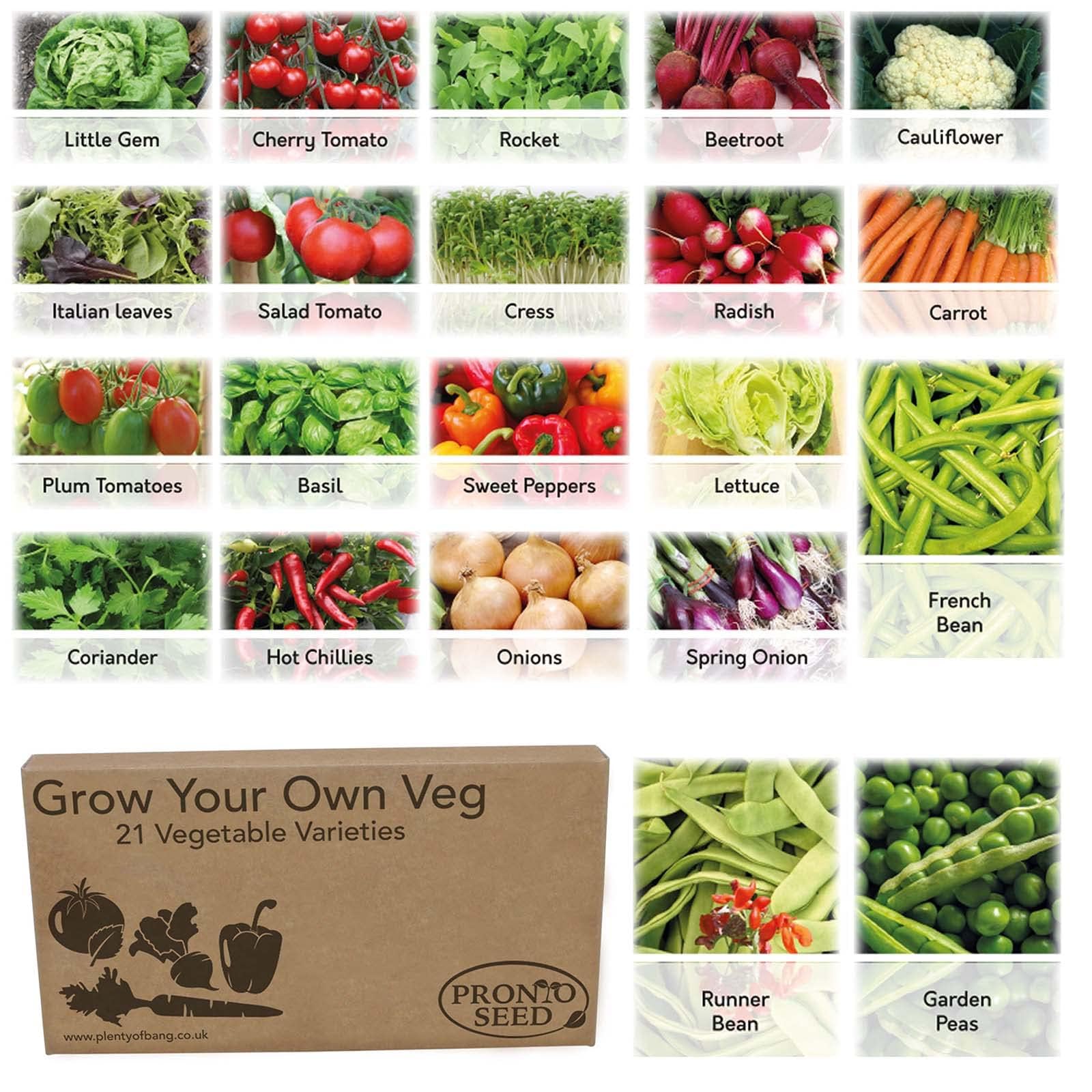 Pronto Seed Grow Your Own Vegetable & Herb Kit โ 21 Varieties, 1700+ Seeds for Planting UK โ Salad, Spicy, Peas & Beans Mix โ Gardening Gifts for Men & Women with Growing Guide