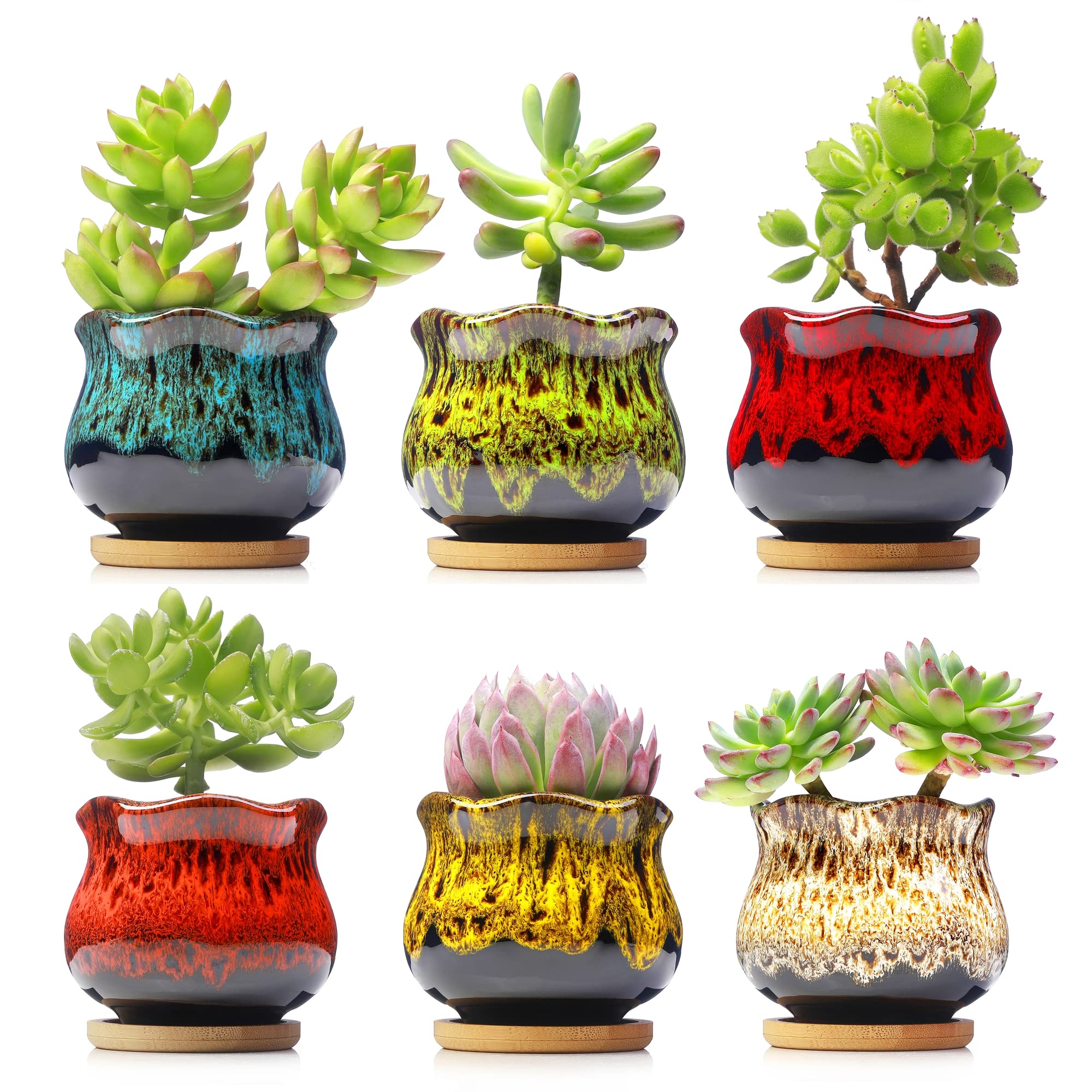 Photo 1 of Fulloog Cute Ceramic Succulent Planters, Garden Pots with Drainage and Attached Saucer, Set of 6 - Plants Not Included