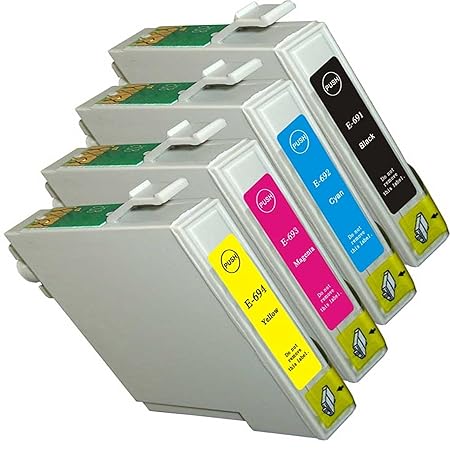 epson t0691