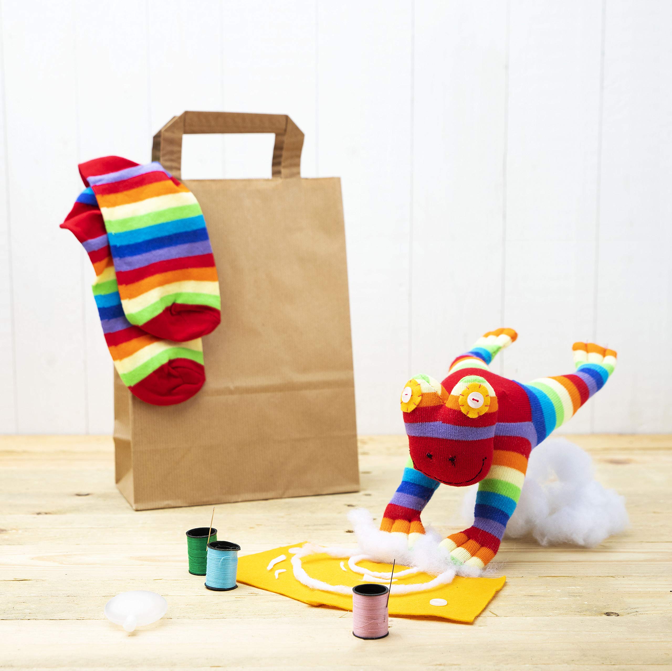 Sock Frog Craft Kit - Complete Craft Kit to Create Your Own Frog